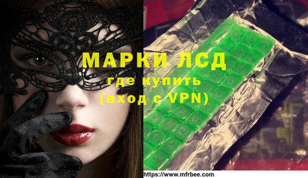 прущие грибы Аркадак