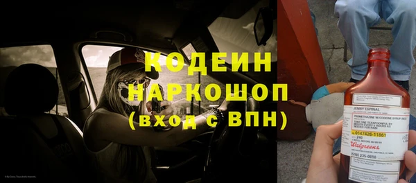 крисы Армянск