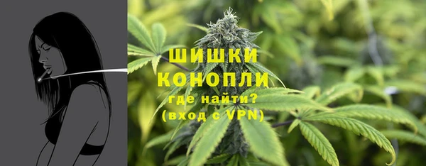 крисы Армянск