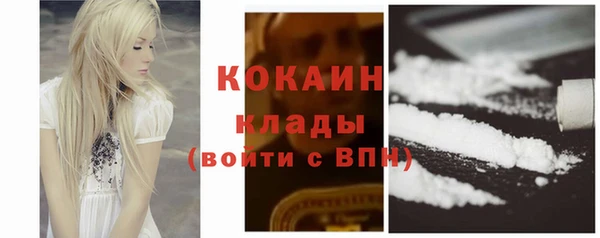 прущие грибы Аркадак