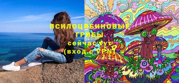 прущие грибы Аркадак