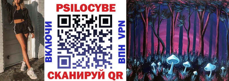 Галлюциногенные грибы Psilocybe  Купить  Вилючинск 